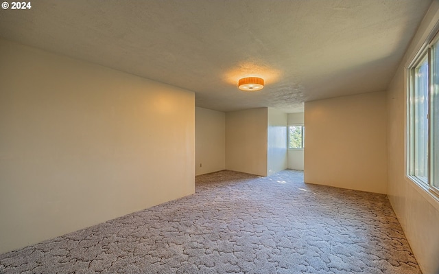 carpeted empty room featuring a textured ceiling and a healthy amount of sunlight