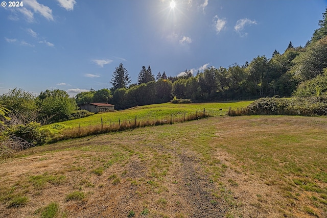 view of yard with a rural view