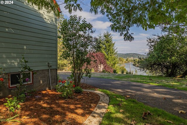 view of yard featuring a mountain view