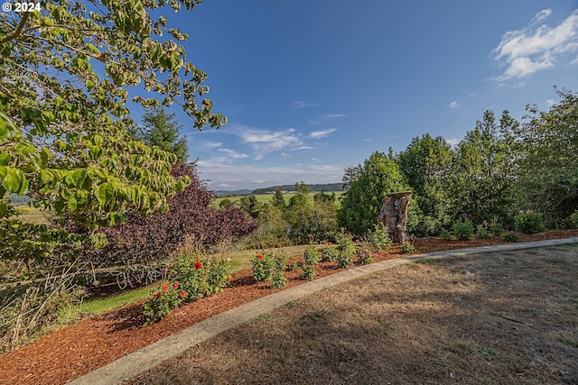 91235 N Bank Ln, Coquille, OR 97423 - view of yard