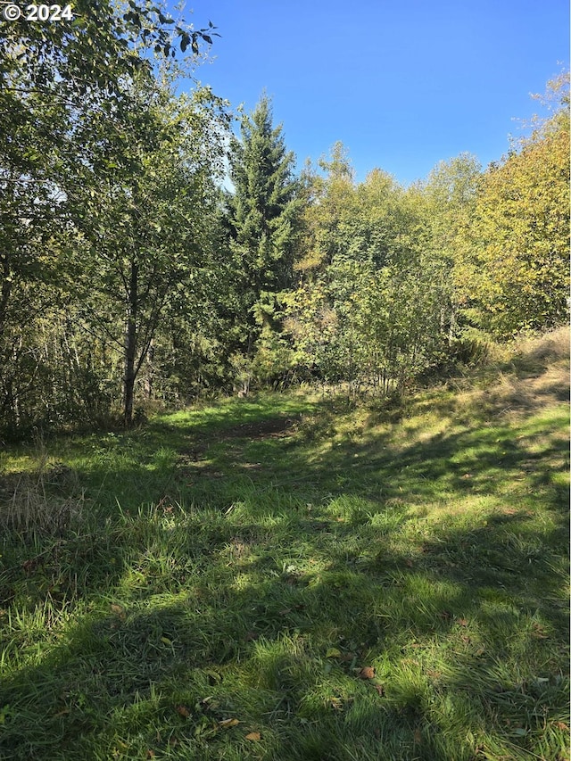 2500 Road, Toutle WA, 98649 land for sale