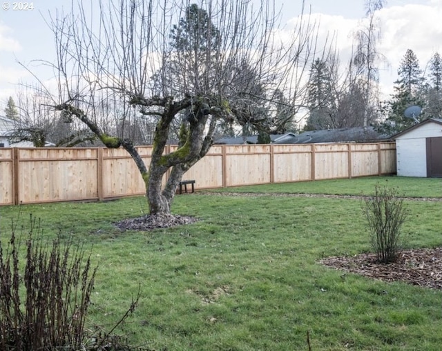 view of yard featuring a storage unit