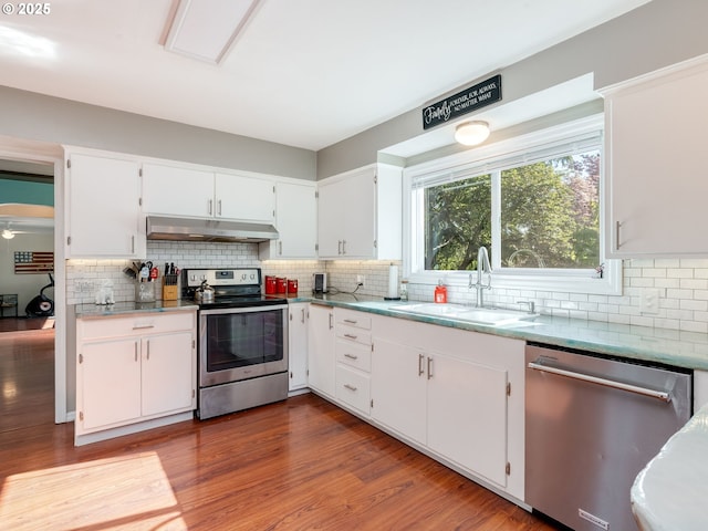 kitchen featuring under cabinet range hood, stainless steel appliances, a sink, and backsplash