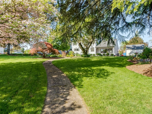 view of yard