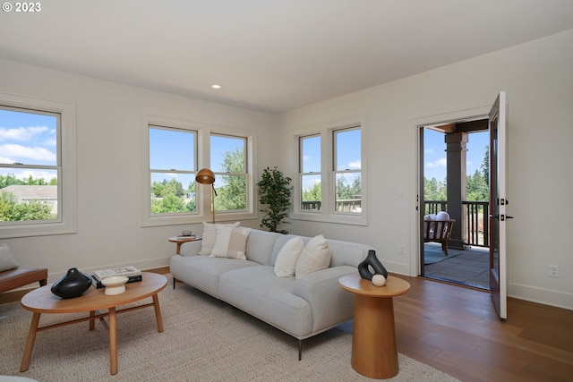 living room with hardwood / wood-style flooring and a healthy amount of sunlight