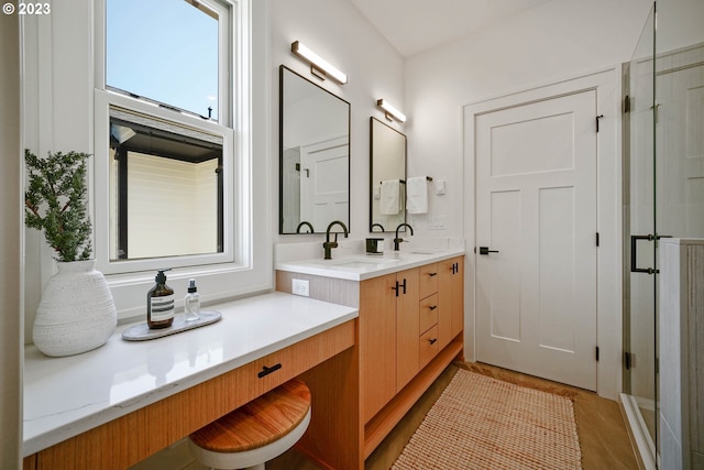 bathroom featuring vanity, wood-type flooring, and an enclosed shower