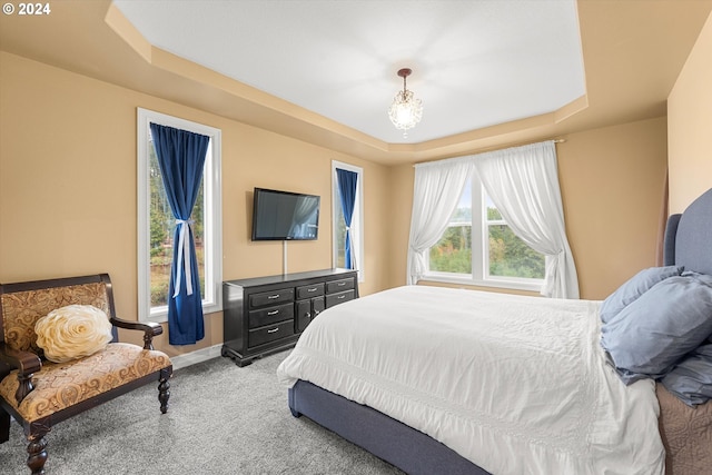 bedroom featuring carpet and a raised ceiling