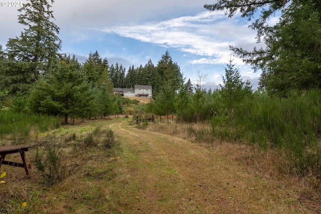 view of local wilderness