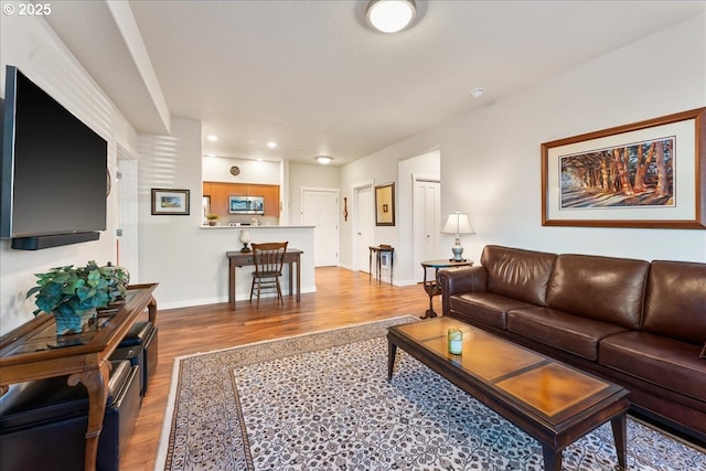 living room with wood-type flooring