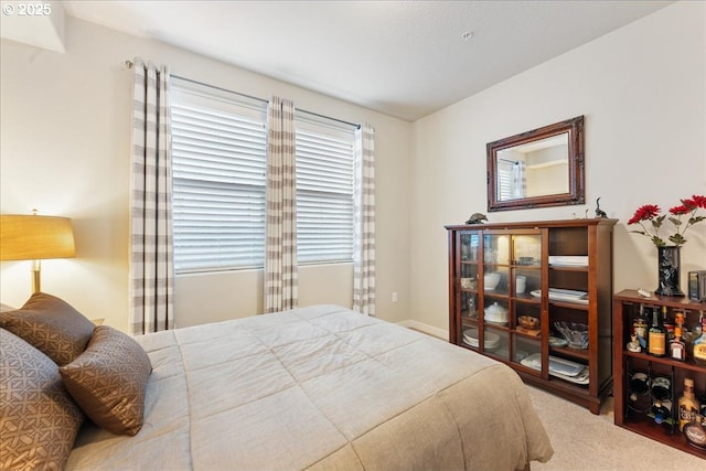 bedroom with carpet floors