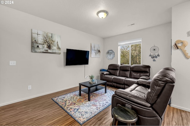 living room featuring hardwood / wood-style floors