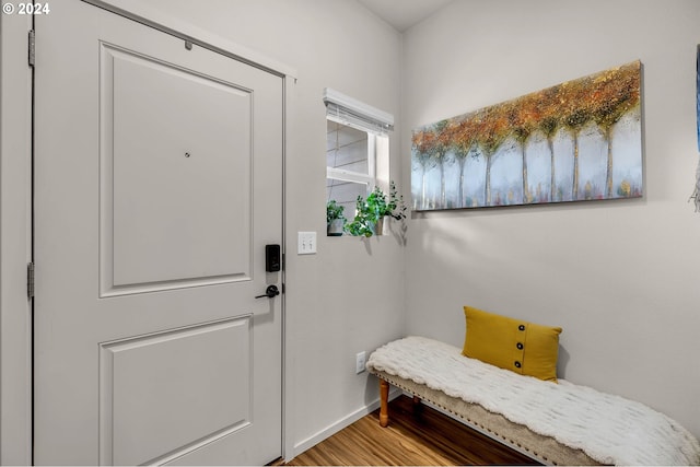 doorway to outside featuring wood-type flooring