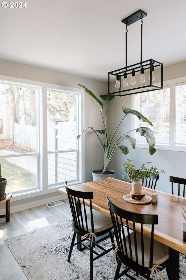 dining room with plenty of natural light and hardwood / wood-style floors