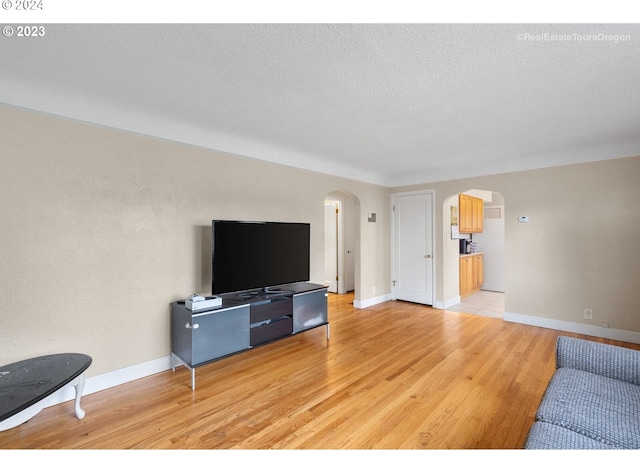 living room with a textured ceiling and light hardwood / wood-style flooring