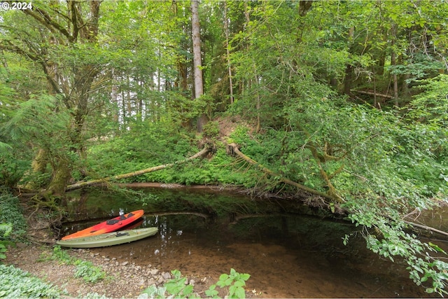 view of local wilderness