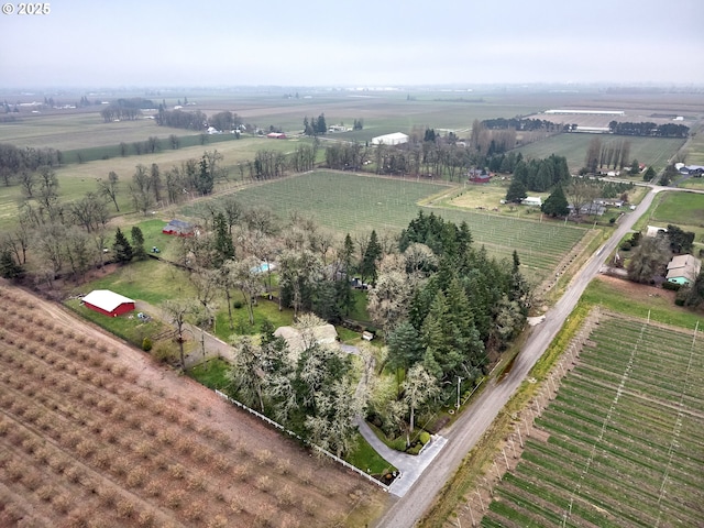 birds eye view of property featuring a rural view