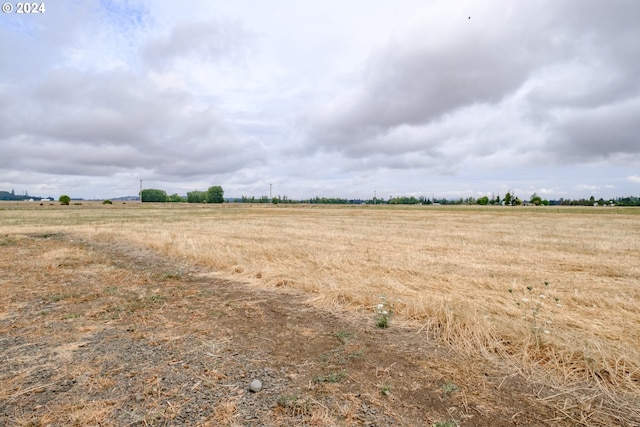 view of landscape featuring a rural view