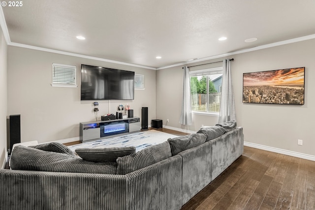 living room with crown molding and dark hardwood / wood-style floors