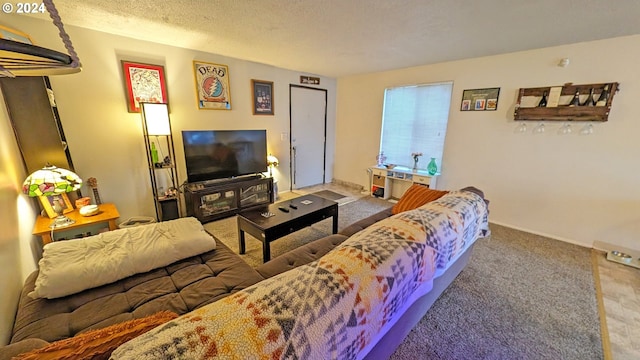 living room featuring carpet and a textured ceiling