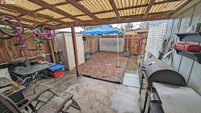 view of patio / terrace featuring a storage shed