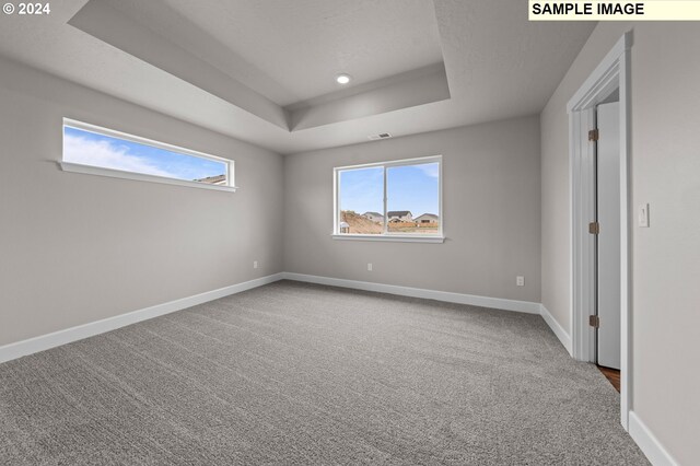 carpeted spare room with a raised ceiling