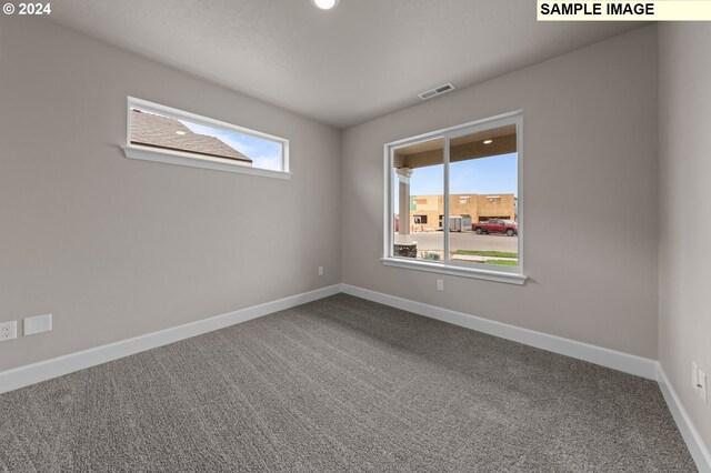 carpeted spare room with a skylight and plenty of natural light