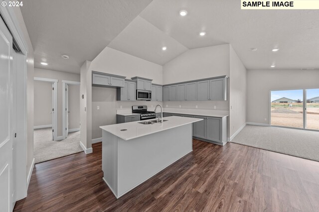 kitchen featuring sink, vaulted ceiling, appliances with stainless steel finishes, dark hardwood / wood-style flooring, and a kitchen island with sink