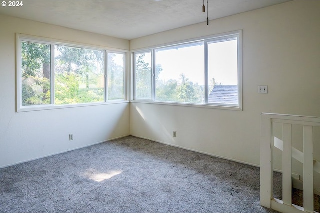 empty room with carpet floors