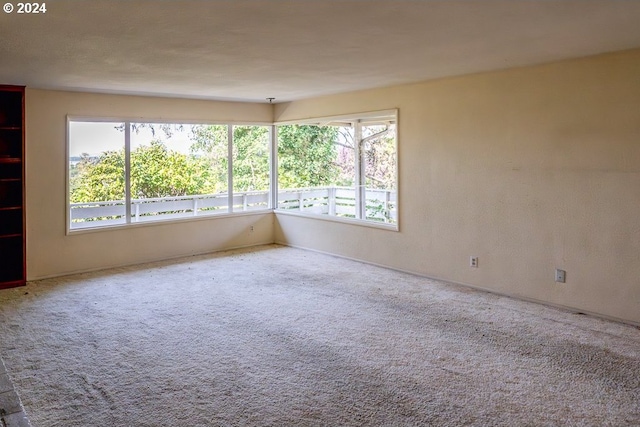 empty room featuring carpet floors