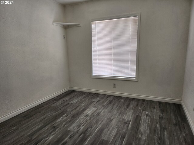 spare room with dark wood-type flooring