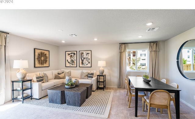 living room featuring a textured ceiling and light carpet