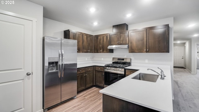 kitchen featuring sink, dark brown cabinets, light hardwood / wood-style flooring, and appliances with stainless steel finishes