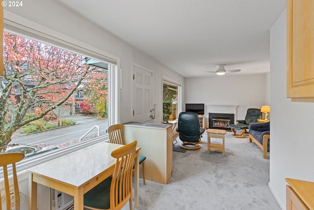 interior space featuring ceiling fan