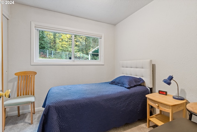 bedroom with multiple windows, carpet floors, and a textured ceiling