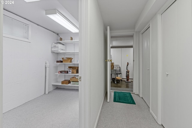 corridor with light colored carpet