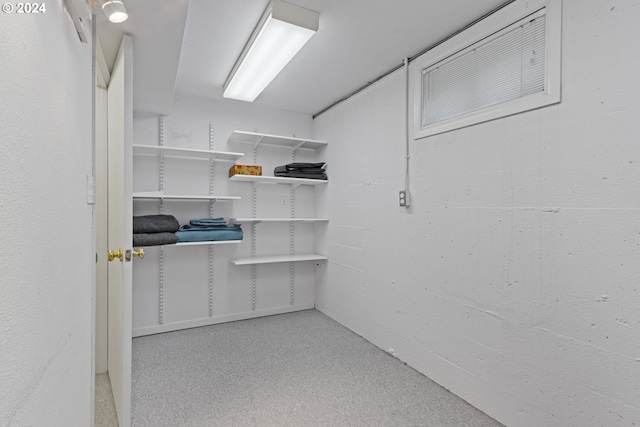 spacious closet featuring light colored carpet