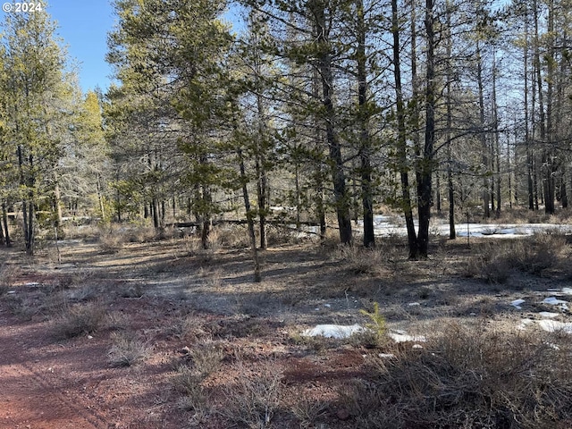 Listing photo 2 for Scott View Dr Lot 6, Chiloquin OR 97624