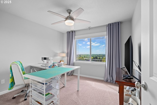 1010 NW 1st St, Dundee, OR 97115 - office space with a ceiling fan, baseboards, and carpet floors