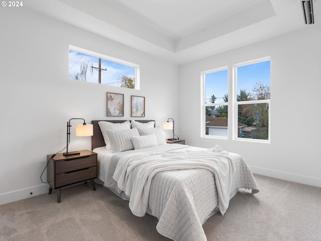 carpeted bedroom featuring a tray ceiling and multiple windows