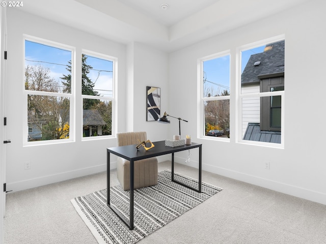 carpeted home office featuring a healthy amount of sunlight