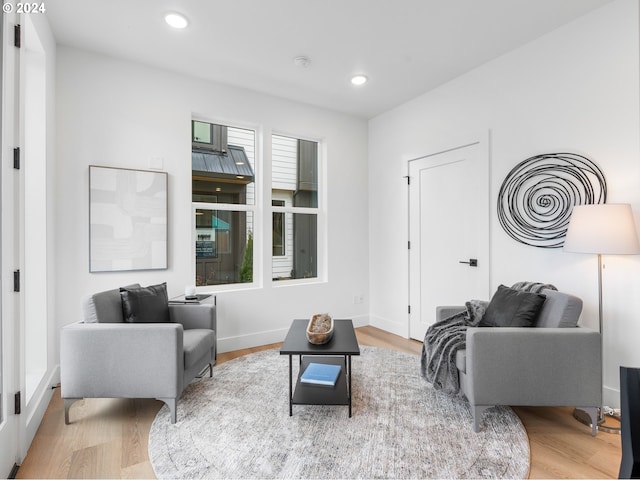 living room with light hardwood / wood-style flooring