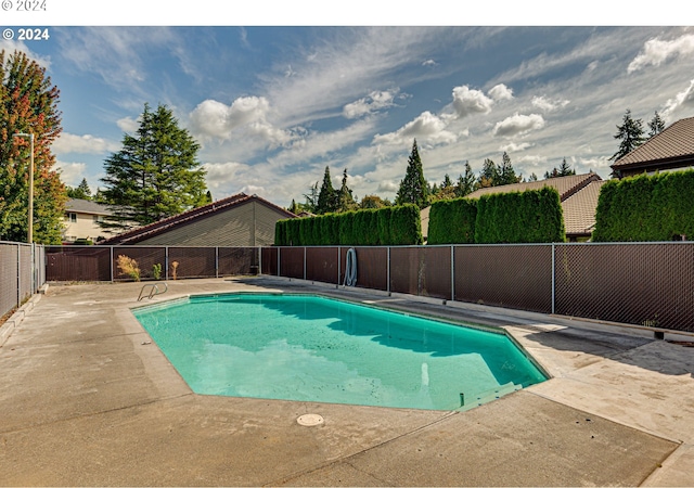 view of pool with a patio area