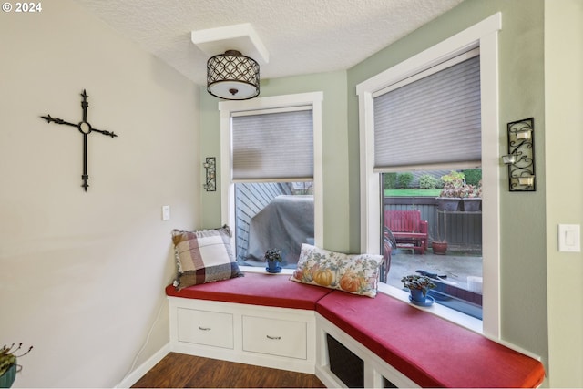 mudroom featuring dark hardwood / wood-style floors and a textured ceiling