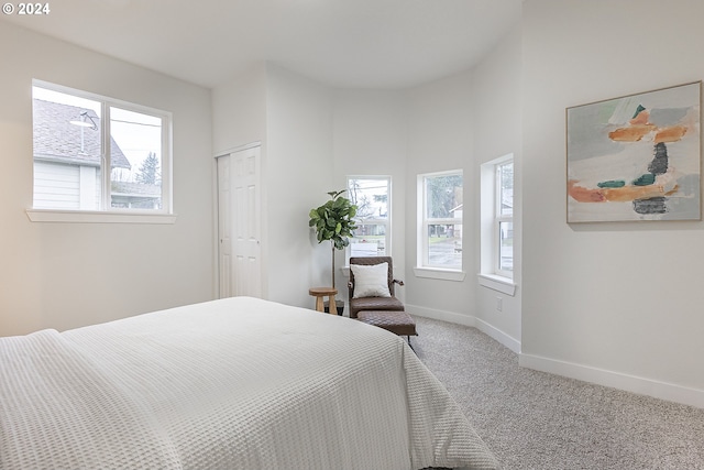 carpeted bedroom featuring a closet