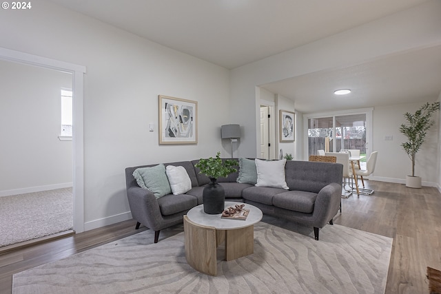 living room featuring wood-type flooring