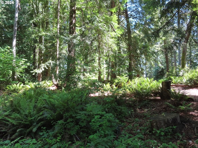 Dogwood Dr NW, Bremerton WA, 98310 land for sale