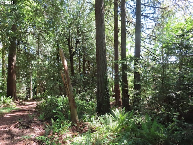 Dogwood Dr NW, Bremerton, WA 98310