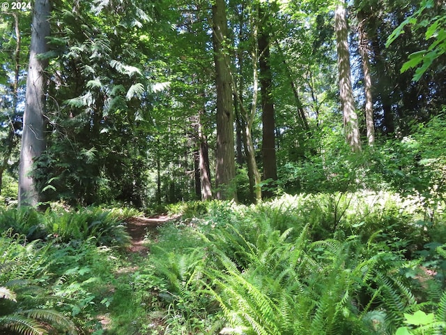 Dogwood Dr NW, Bremerton, WA 98310