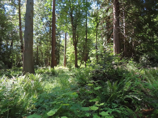 Dogwood Dr NW, Bremerton, WA 98310