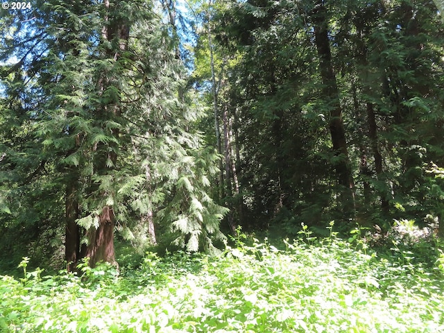 Dogwood Dr NW, Bremerton, WA 98310